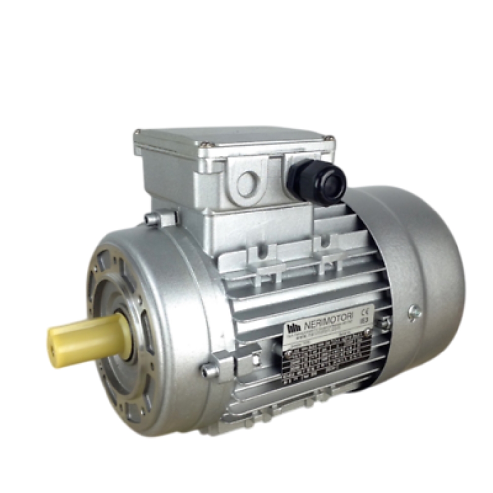 Electric motor NERI MOTORI T56B4 B14 0,09 KW 1340 rpm